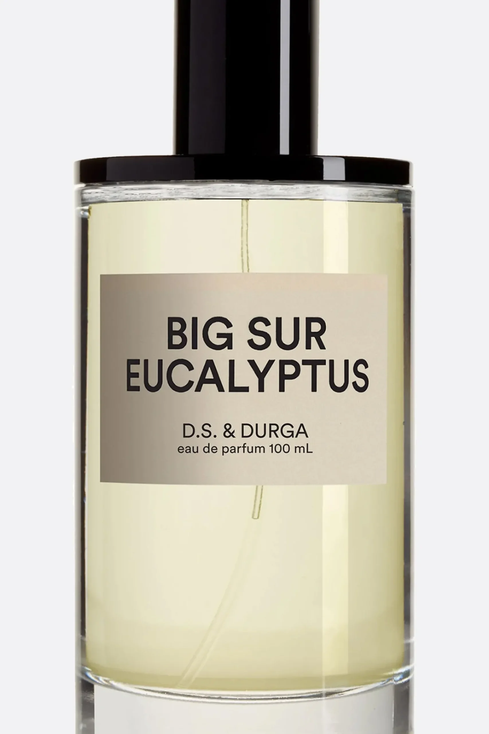 D.S. & DURGA Big Sur Eucalyptus Eau de Parfum 100 ml