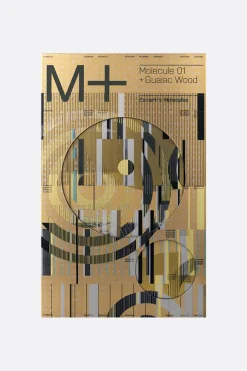 ESCENTRIC MOLECULES Molecule 01 + Guaiac Wood 100 ml