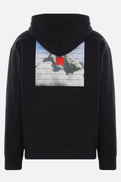THE NORTH FACE 40TH Anniversary Mountain hoodie in jersey