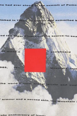 THE NORTH FACE 40TH Anniversary Mountain t-shirt in cotton