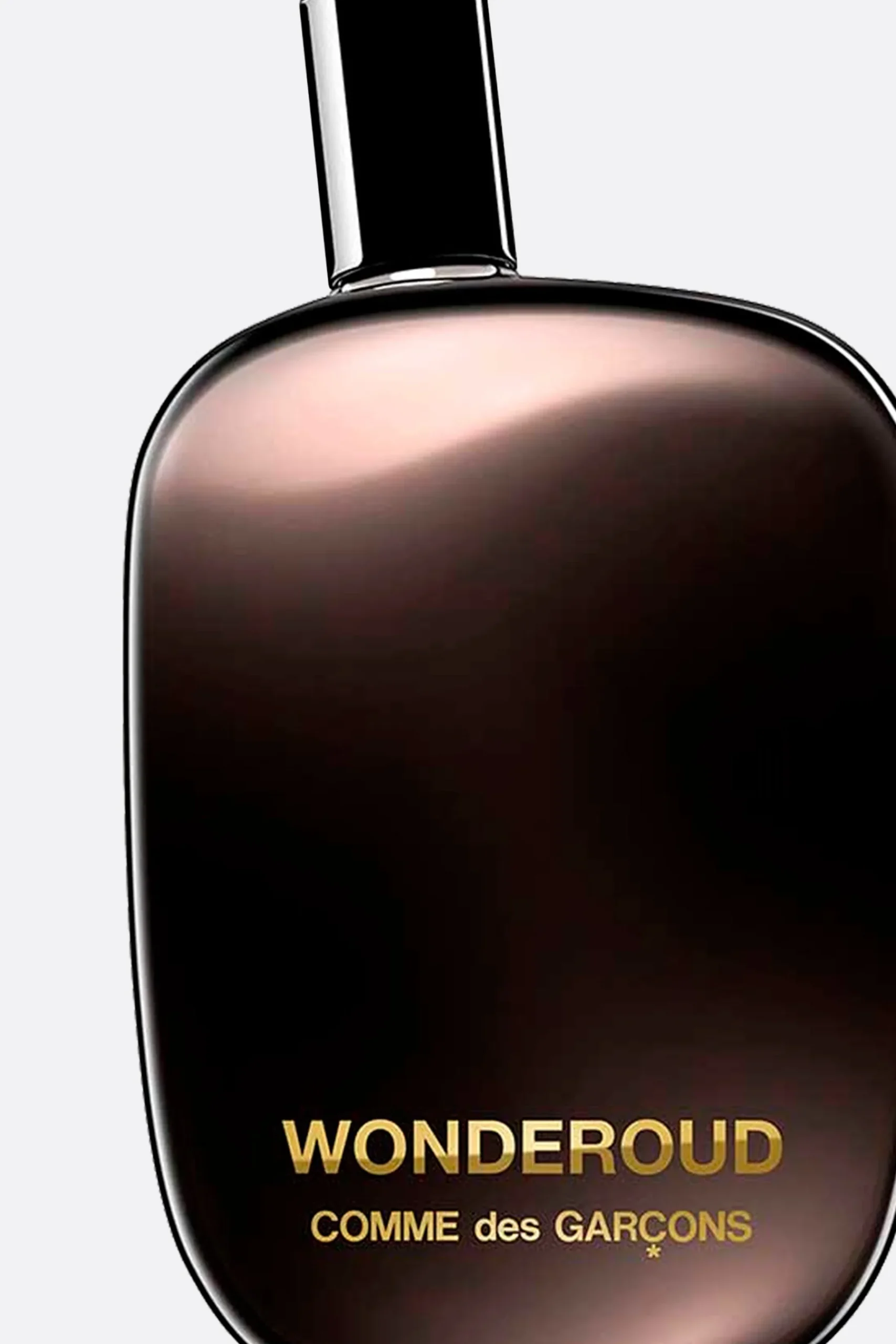 COMME DES GARÇONS PARFUMS Wonderoud Eau de Parfum 100 ml